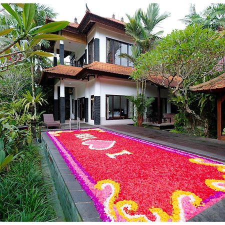 Villa Wegy House-3Br In Udub With Pool And Jungle View Ubud Esterno foto