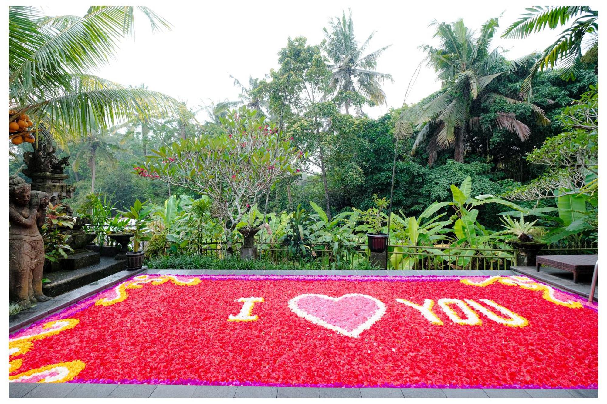 Villa Wegy House-3Br In Udub With Pool And Jungle View Ubud Esterno foto